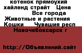 котенок прямоухий  хайленд страйт › Цена ­ 10 000 - Все города Животные и растения » Кошки   . Чувашия респ.,Новочебоксарск г.